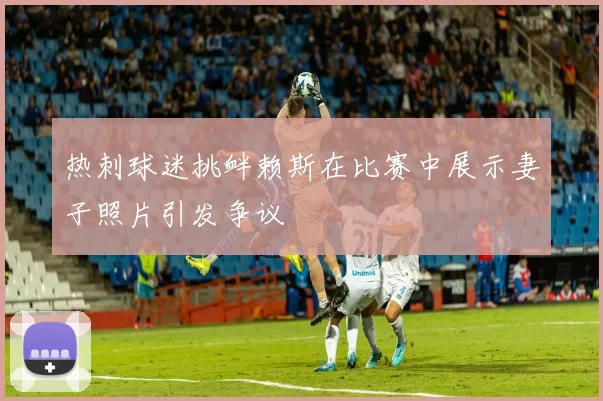 热刺球迷挑衅赖斯在比赛中展示妻子照片引发争议